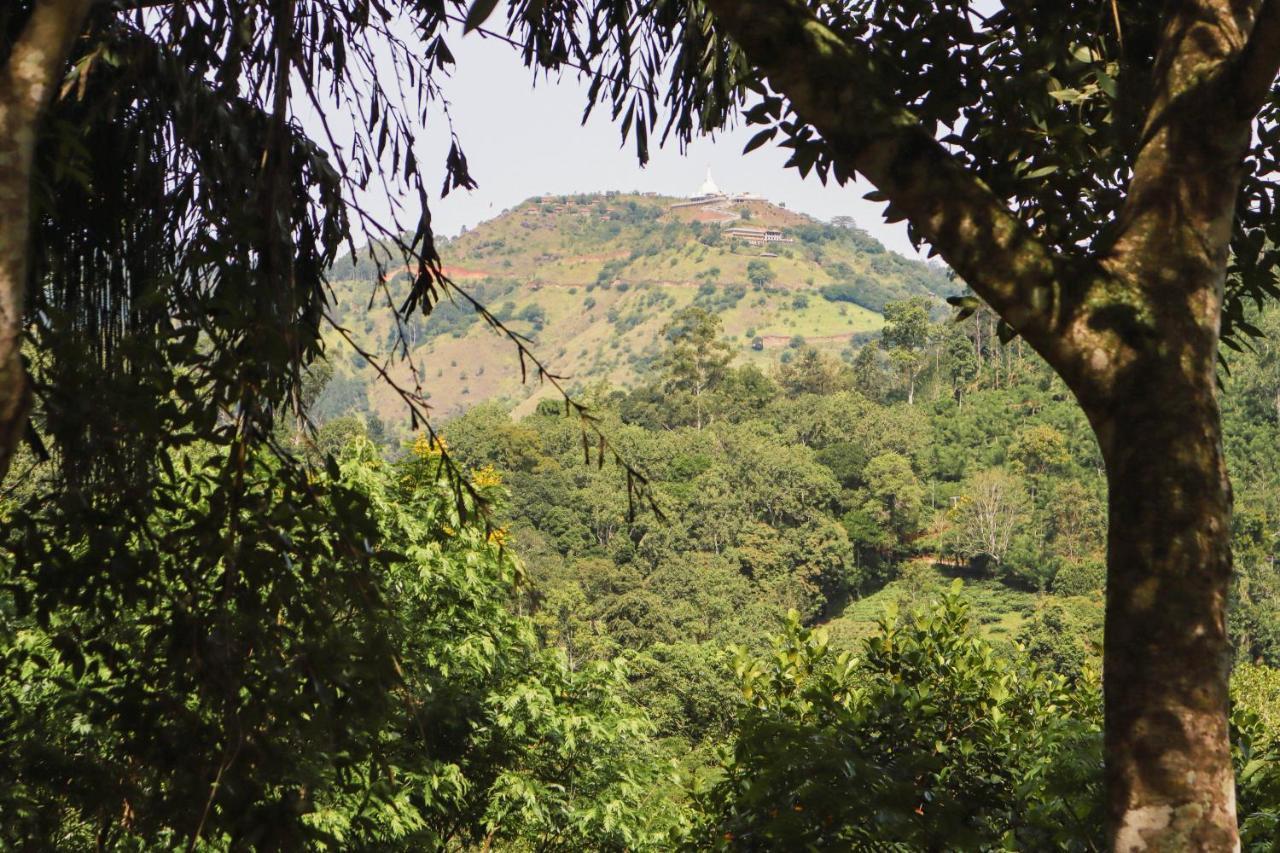Nature Walk Ella Exterior foto